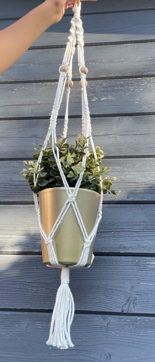 blumenampel 2